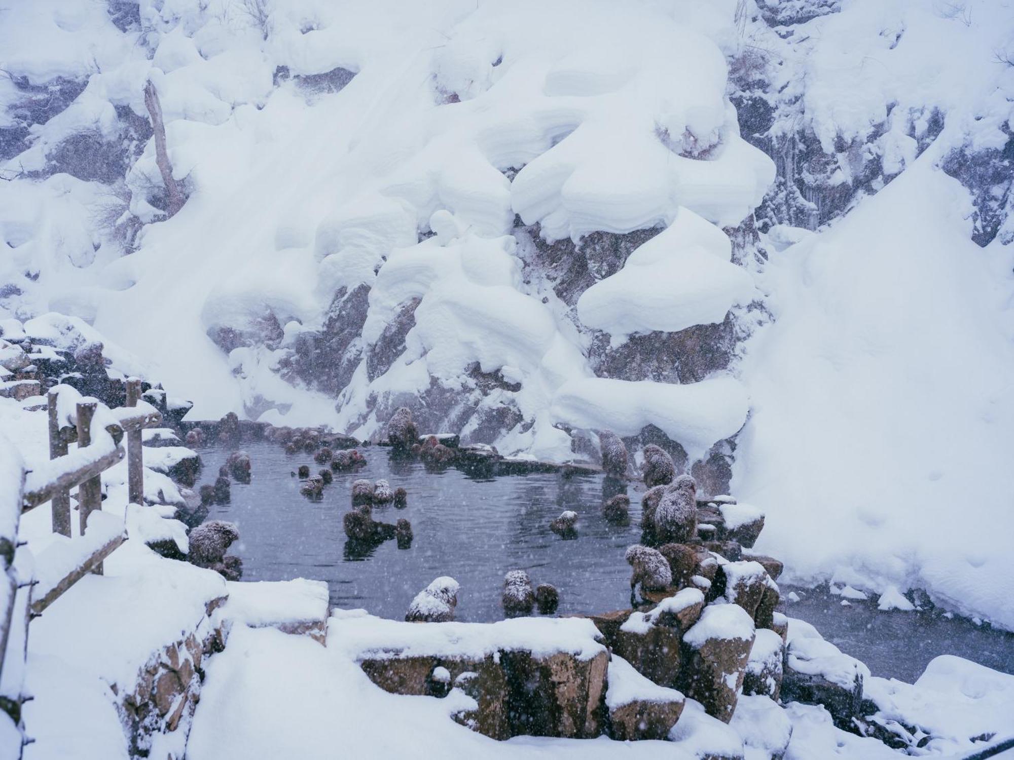 Kidoike Onsen Hotel Yamanouchi  Extérieur photo